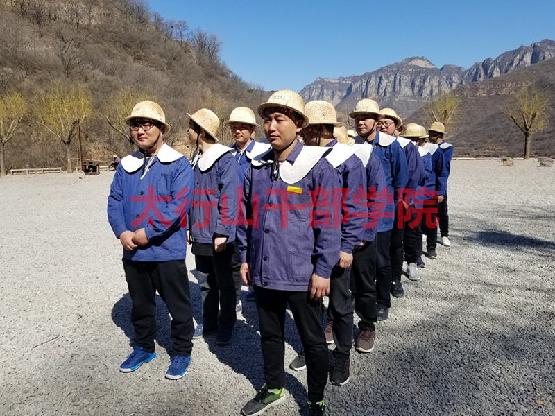 图片13